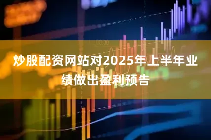 炒股配资网站对2025年上半年业绩做出盈利预告